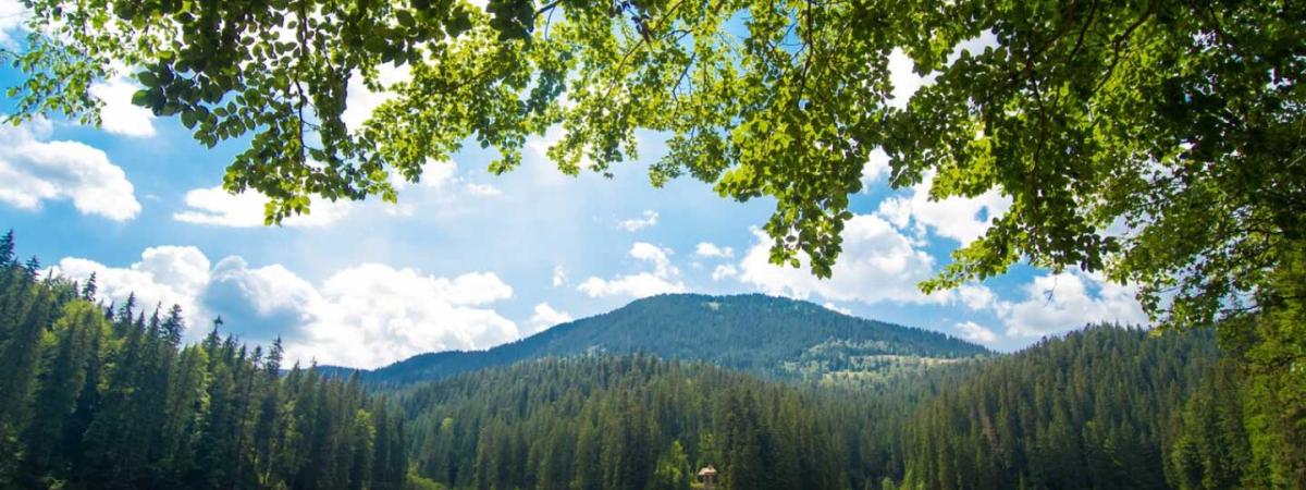 Parco Nazionale della Val Grande