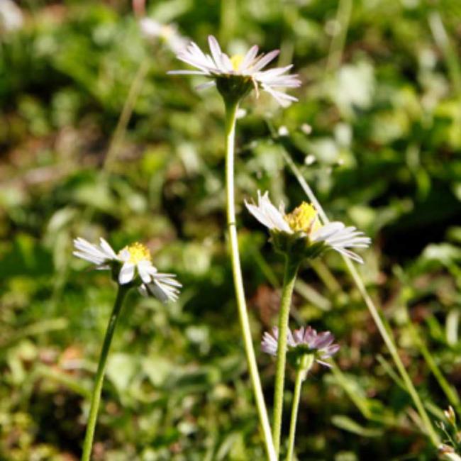 Sport e natura