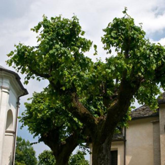 Sacro Monte